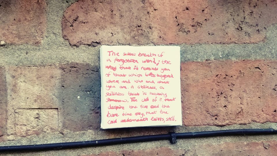 17499518_10158391832075371_2478436796866356456_n (1)