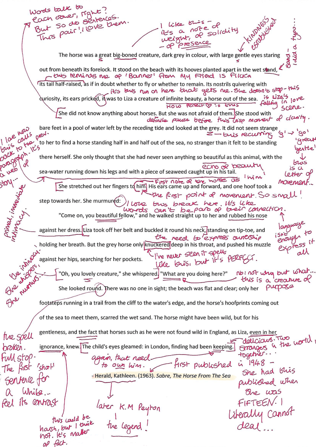 Annotated: Sabre The Horse From The Sea by Kathleen&nbsp;Herald